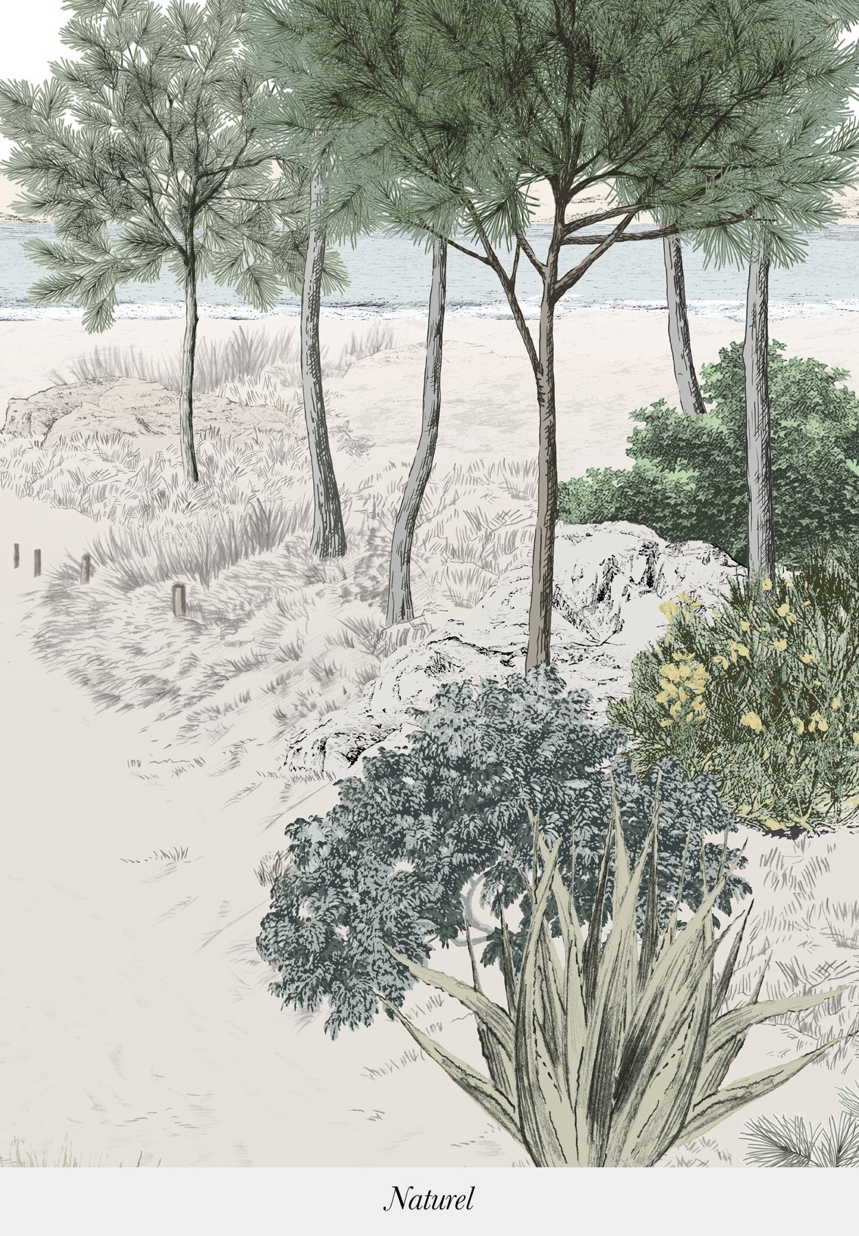 Image du produit 11