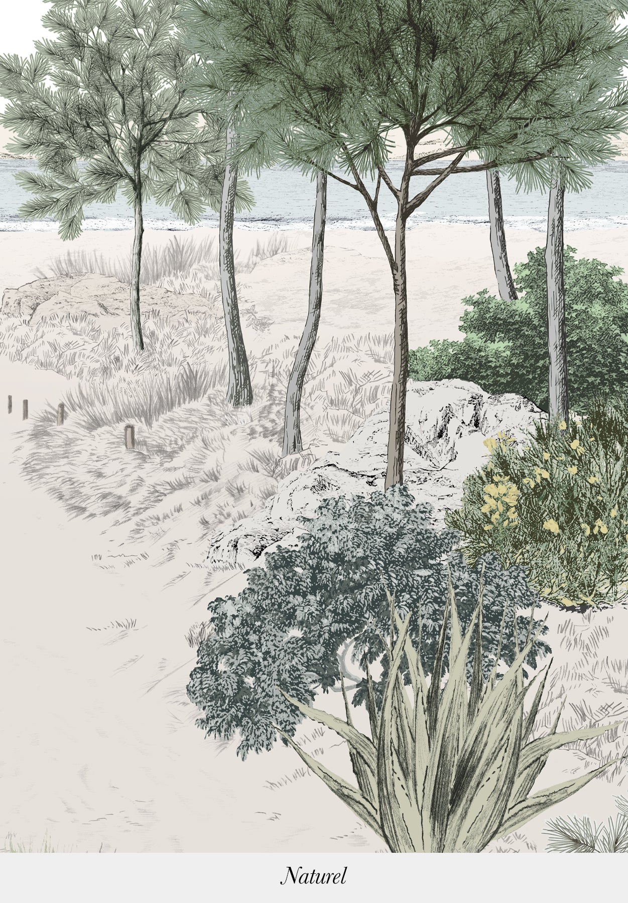 Image du produit 11