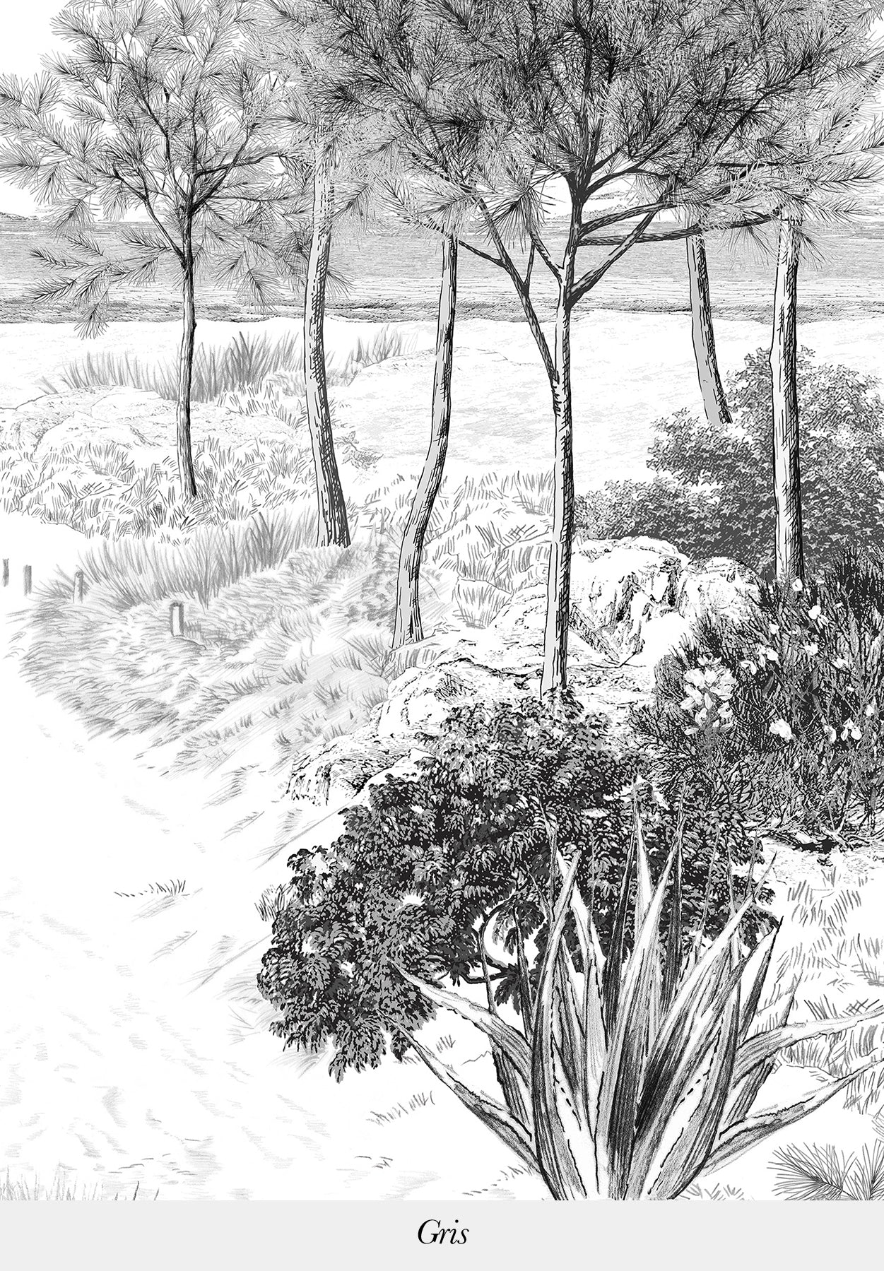 Image du produit 9