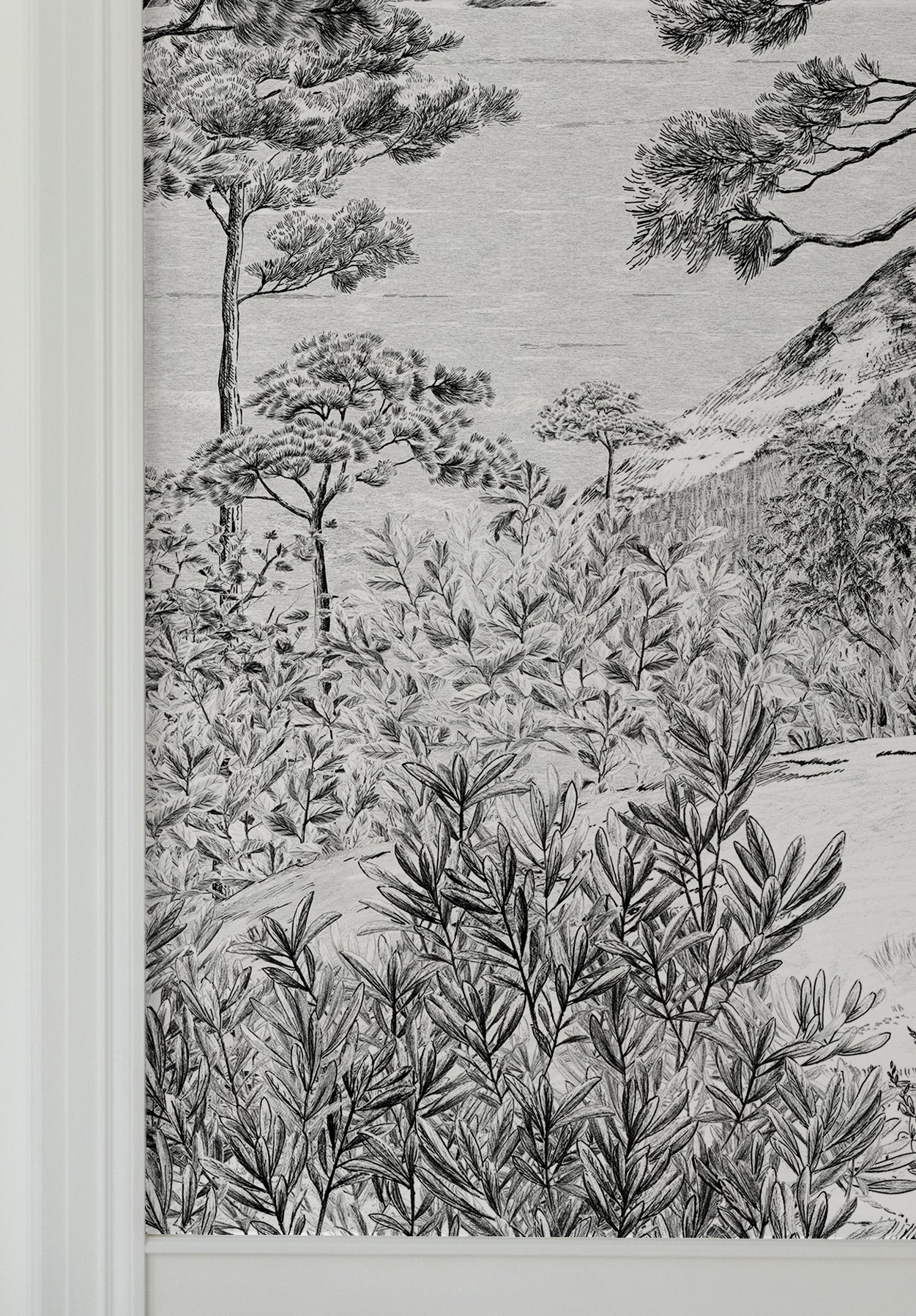 Image du produit 14