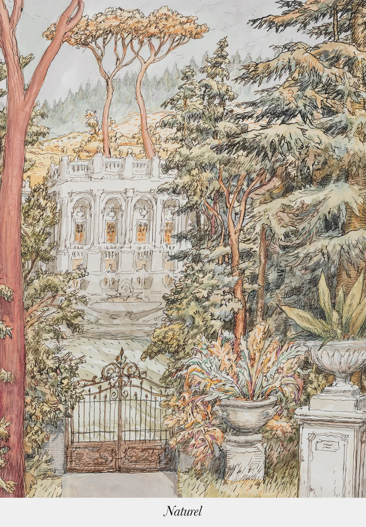 Image du produit 7