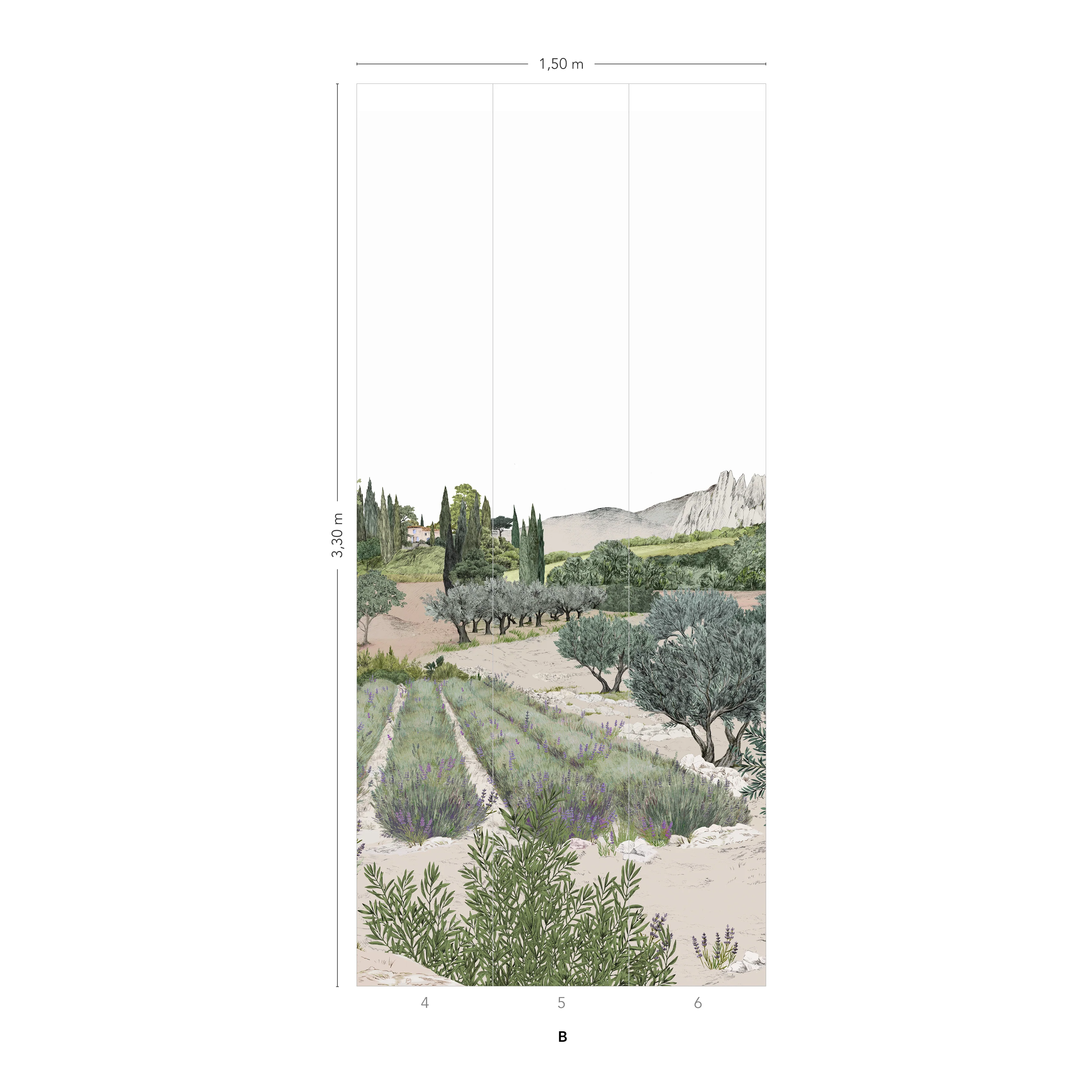 Image du produit 11