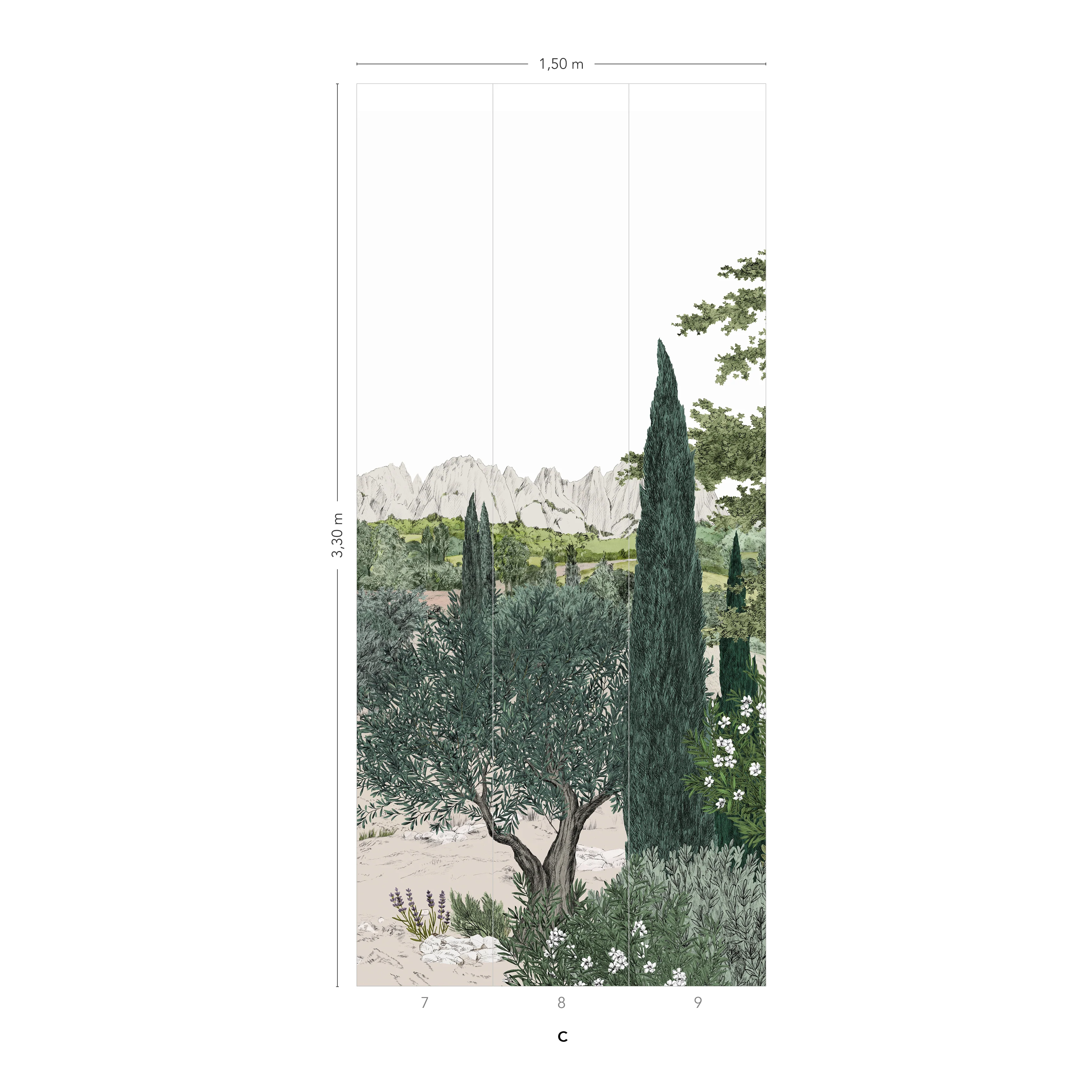 Image du produit 12