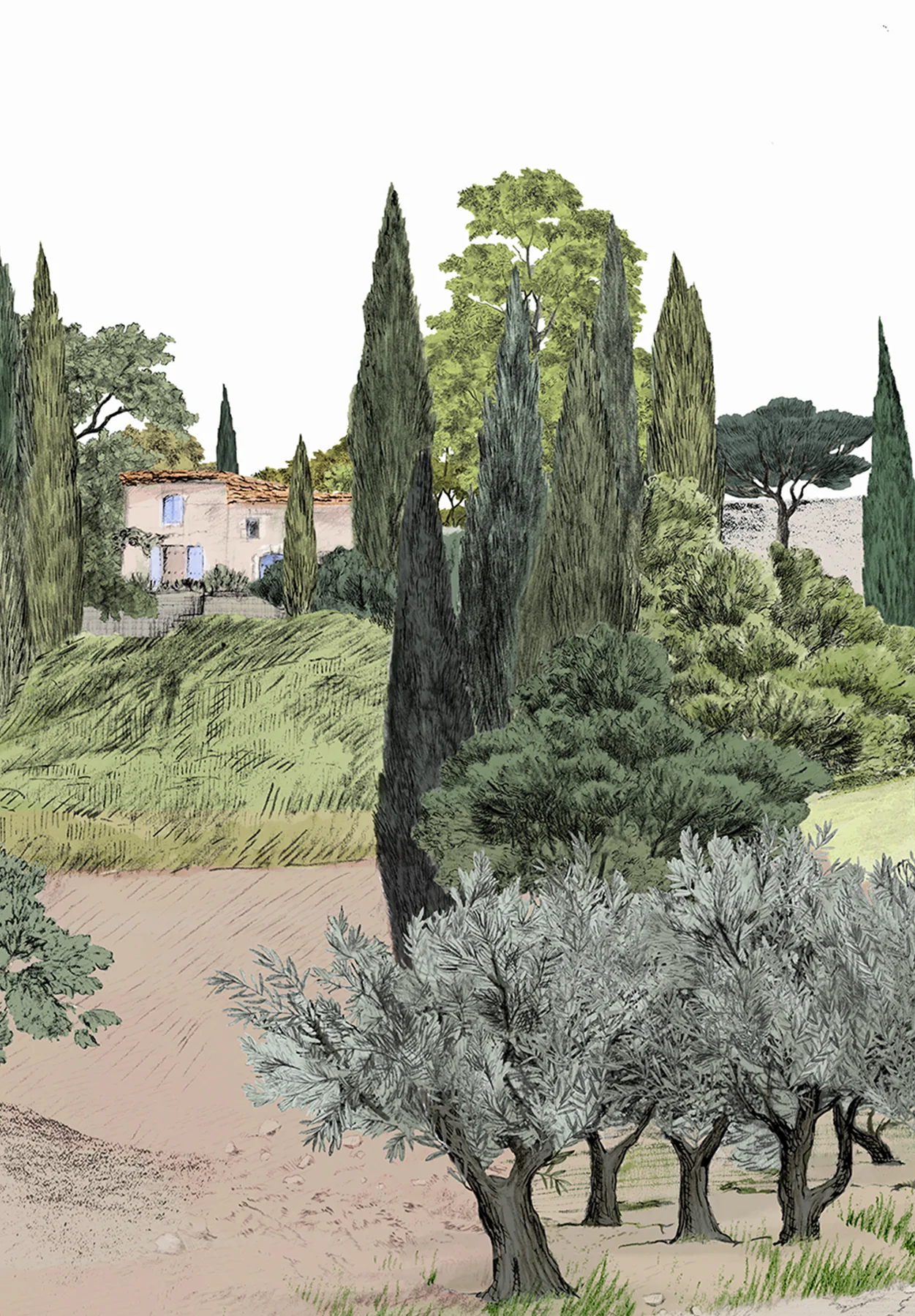 Image du produit 6