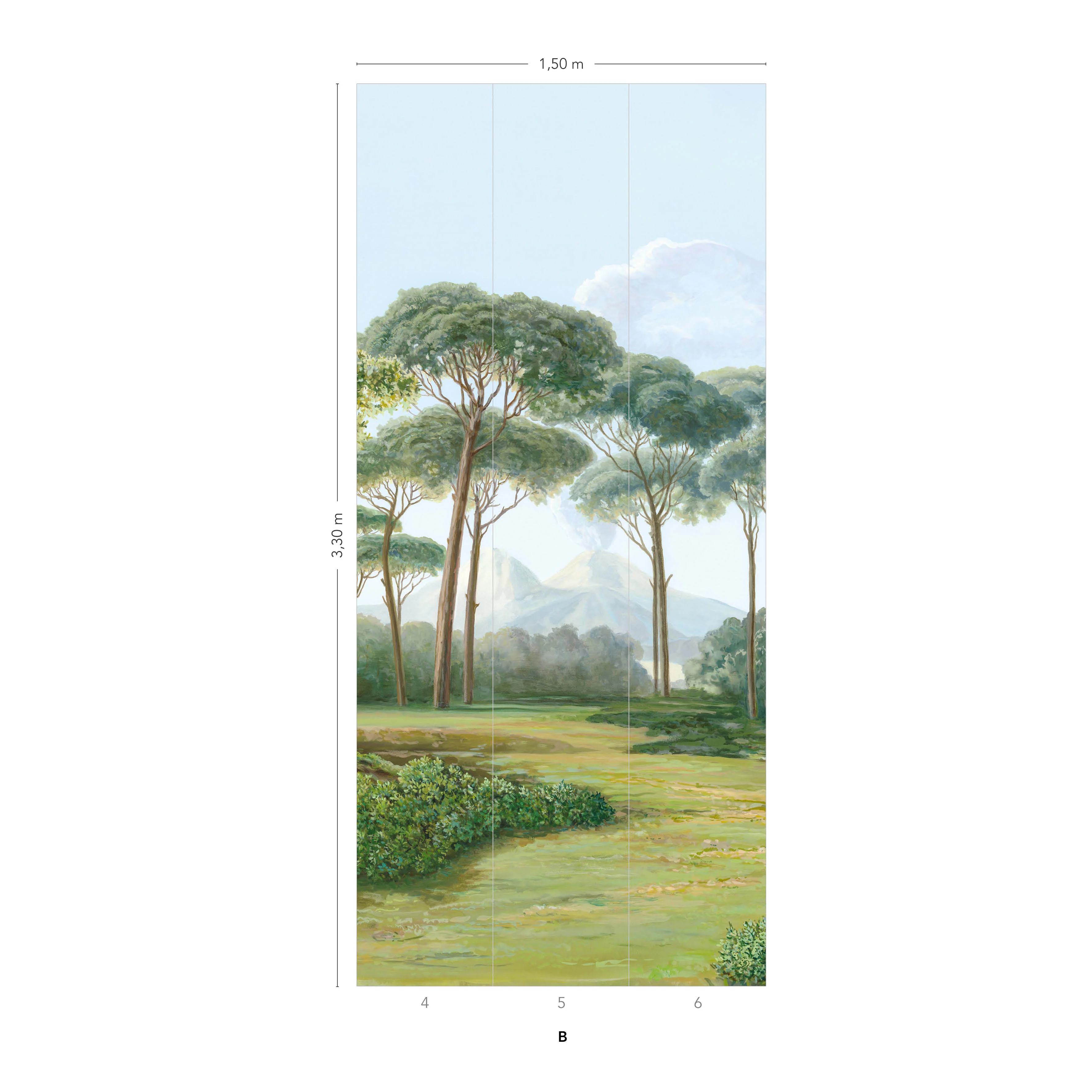Image du produit 12