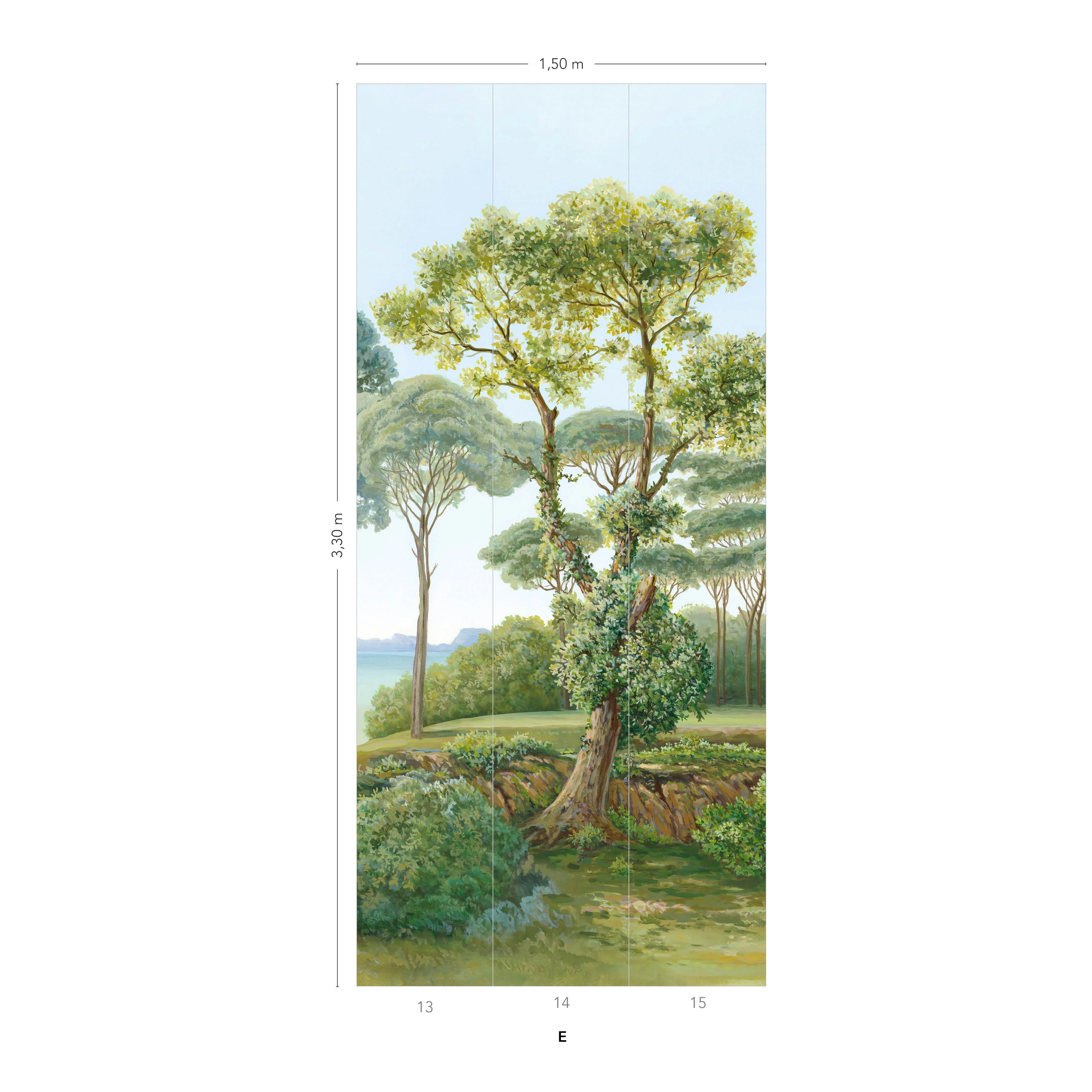 Image du produit 15